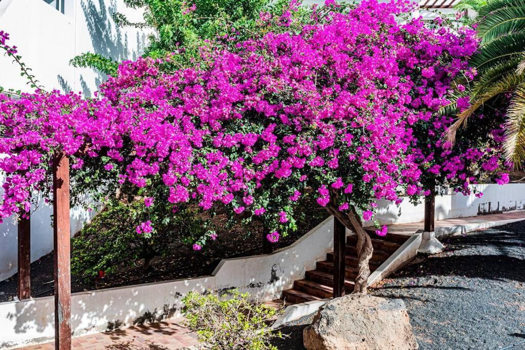 Vivienda Vacacional El Descanso Costa Teguise Esterno foto